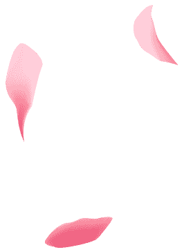 petals-bg1 petals-bg1