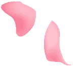 petals-bg3 petals-bg3